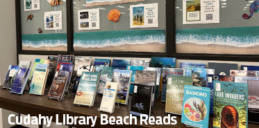Cudahy Library Book Recommendations and Book Display featuring themes related to the beach