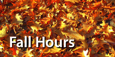 Fall Hours